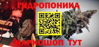 стафф Аргун