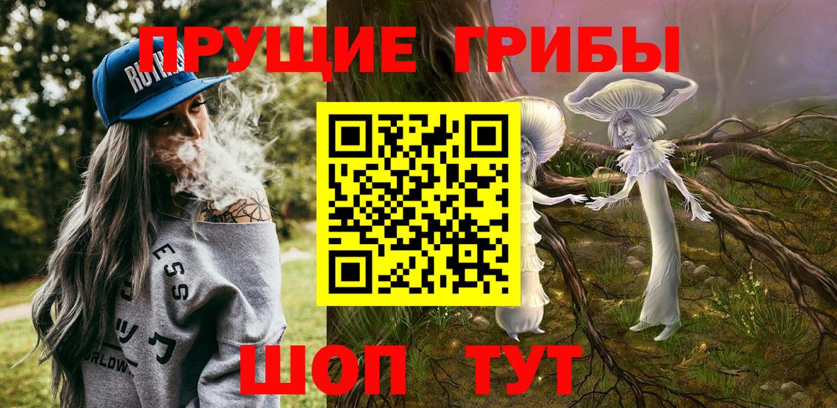 Будённовск  Псилоцибиновые грибы Magic Shrooms  купить  цена  Псилоцибиновые грибы мицелий  Вход с VPN 